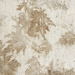 Maple Leaf images on Local Sidewalk